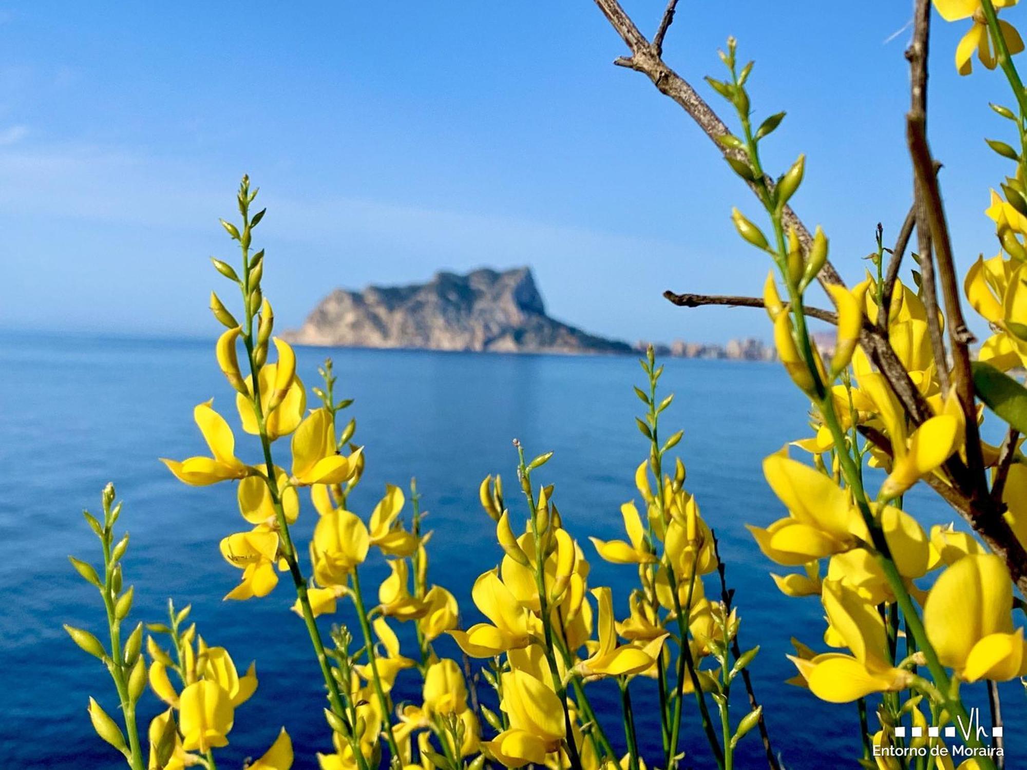 Vh Costablanca - Apartamento Riviera Moraira Kültér fotó